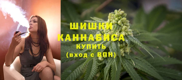 PSILOCYBIN Карталы